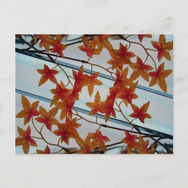 Plastic Leaves & Symmetry Postcard (Front)
