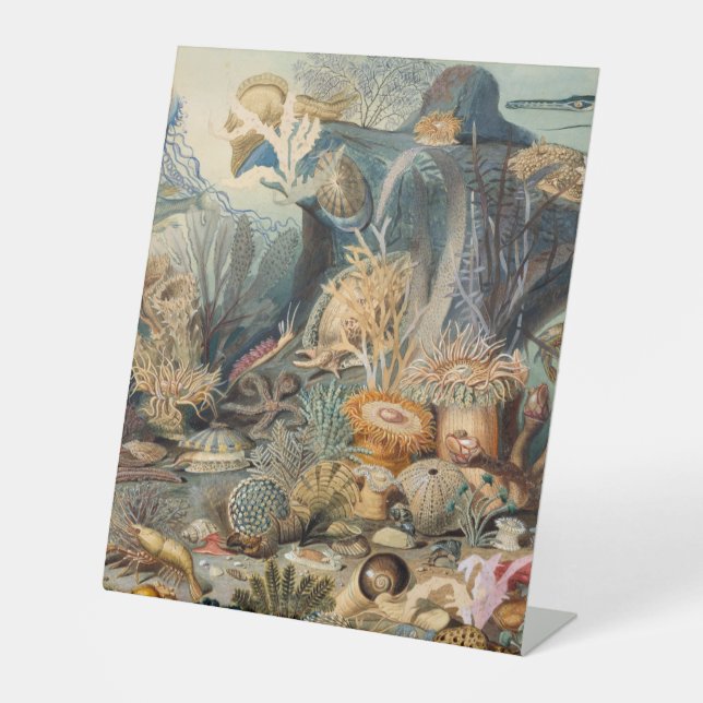 Plastic Pedestal Sign 10"X12" (Front)