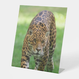 Plastic Pedestal Sign 10" x 12" CusPedestal Sign
