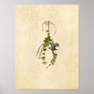 Plate 90 Black & White Creeper Poster