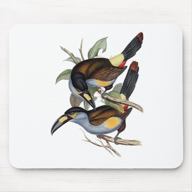 Plate-billed Mountain Toucan Mouse Pad (Front)