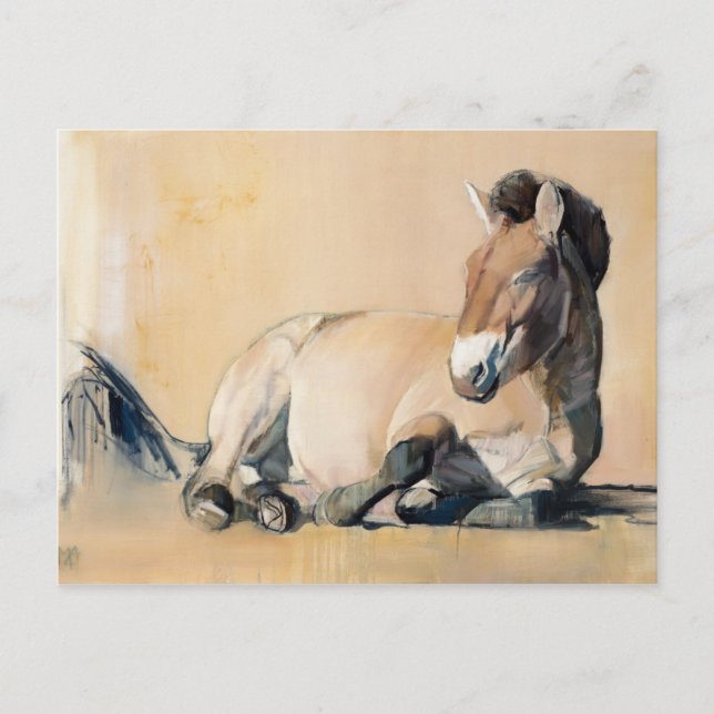 Plateau Sun Postcard (Front)