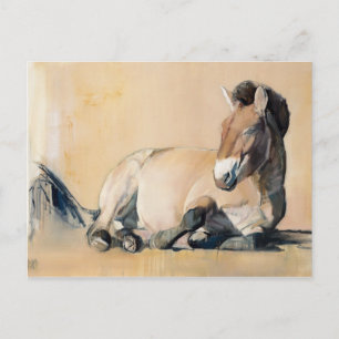 Plateau Sun Postcard