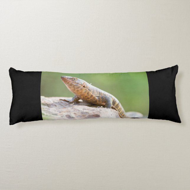 Plated Lizard Body Cushion (Back)