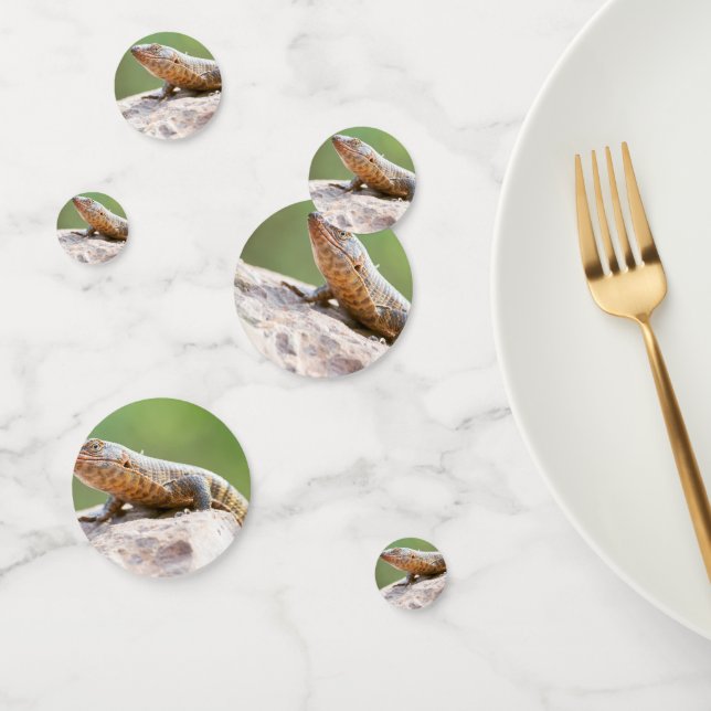 Plated Lizard Confetti (Group)