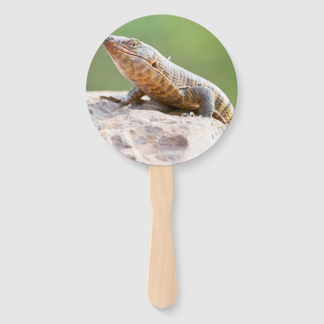 Plated Lizard Hand Fan (Back)