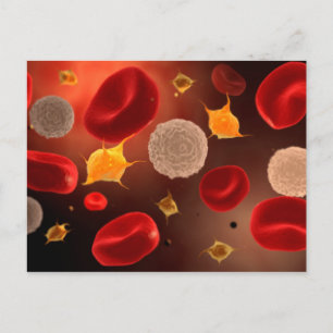 Platelets With Red Blood Cells 2 Postcard