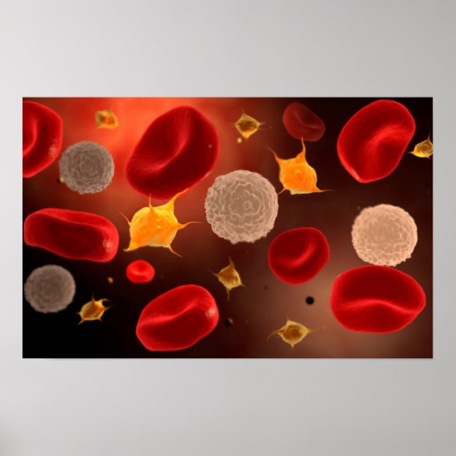 Platelets With Red Blood Cells 2 Poster (Front)
