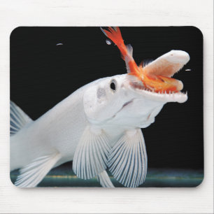 Platinum Alligator Gar Pike Mouse Pad