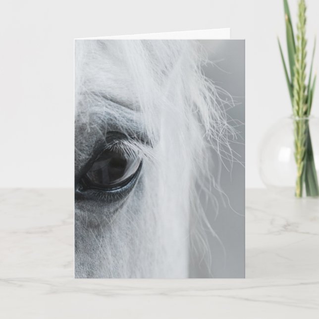 Platinum Equine Greeting Card (Front)