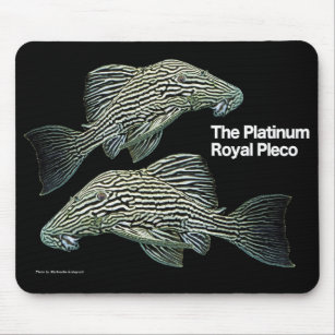 Platinum Royal Pleco Mouse Pad