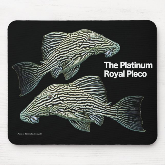 Platinum Royal Pleco Mouse Pad (Front)