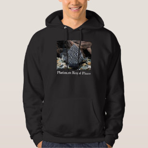 Platinum Royal Pleco , Panaque niglolineatus Hoodie