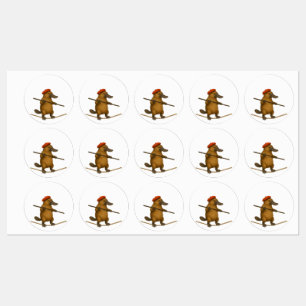 Plato platypus tightrope walker