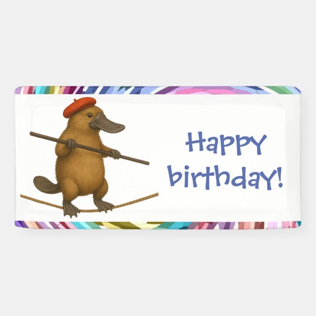 Plato platypus tightrope walker banner (Horizontal)