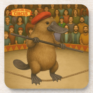 Plato platypus tightrope walker coaster