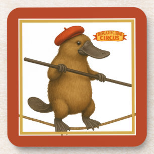 Plato platypus tightrope walker coaster