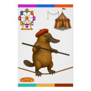 Plato platypus tightrope walker poster