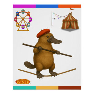 Plato platypus tightrope walker poster