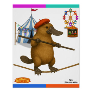 Plato platypus, tightrope walker poster