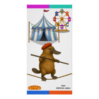 Plato platypus, tightrope walker