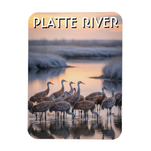 Platte River Sandhill Cranes Nebraska Travel Magnet