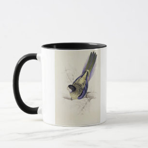 Platycercus Brownii, or Brown's Parrakeet (Plate 2 Mug
