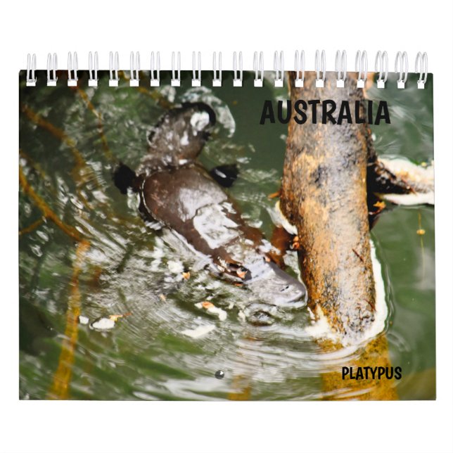 PLATYPUS AUSTRALIA CALENDAR (Cover)