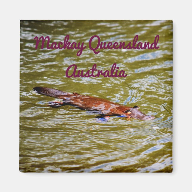 PLATYPUS EUNGELLA NATIONAL PARK AUSTRALIA MAGNET (Front)