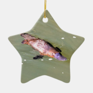 PLATYPUS IN WATER EUNGELLA AUSTRALIA CERAMIC ORNAMENT