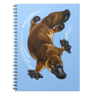 platypus notebook