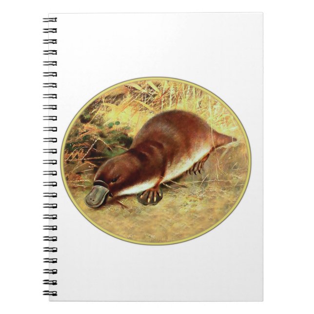 Platypus Notebook (Front)