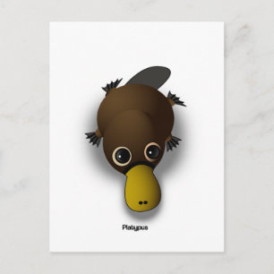 platypus postcard