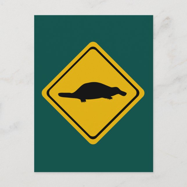 platypus road sign postcard (Front)