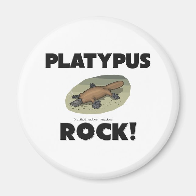 Platypus Rock Magnet (Front)