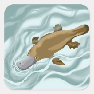 Platypus  square sticker
