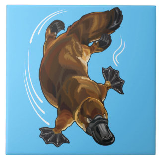 platypus tile