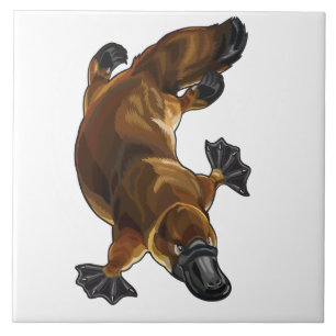 platypus tile