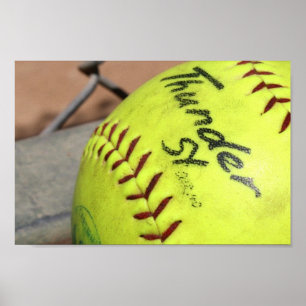 Play Ball! Poster