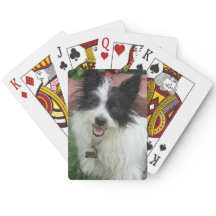 Play Cards with Mutts