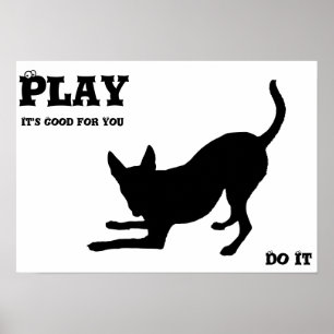 Play Dog Poster