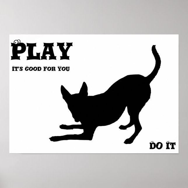 Play Dog Poster (Front)