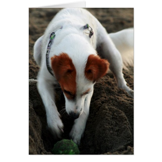 "Play Hard!" (Front)