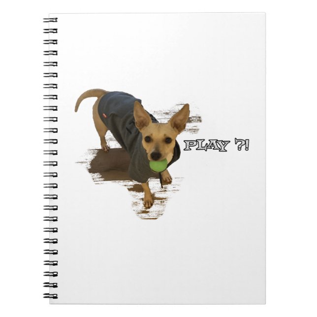 Play?! Notebook (Front)