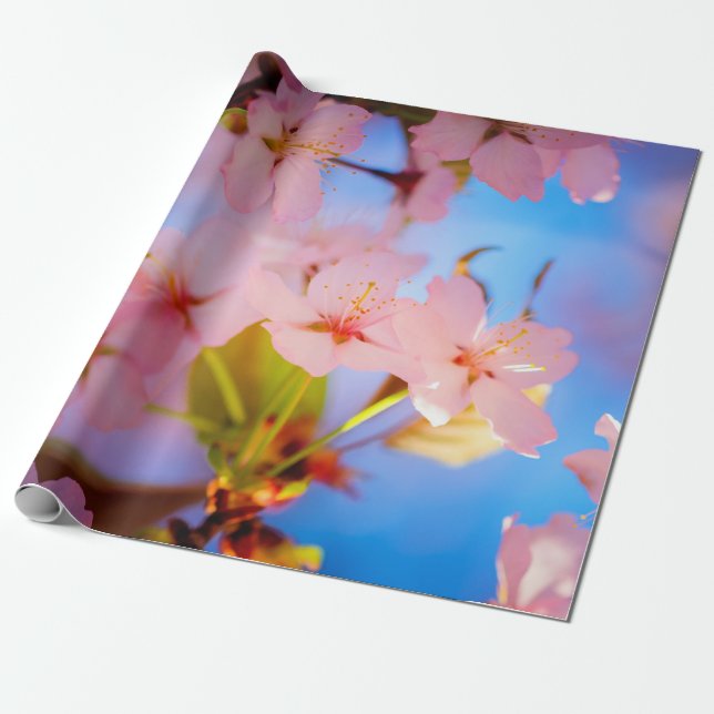 Play Of Light On Sakura Wrapping Paper (Unrolled)