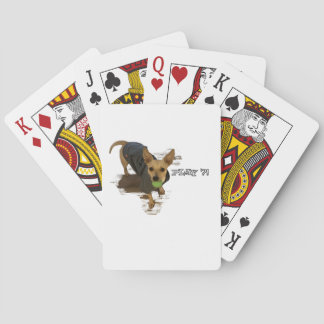 Play?! Playing Cards