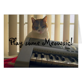 Play some Meowsic!