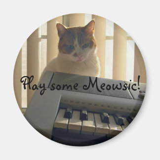 Play some Meowsic! Magnet