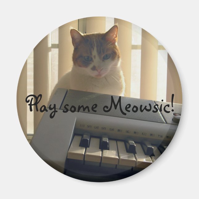 Play some Meowsic! Magnet (Front)