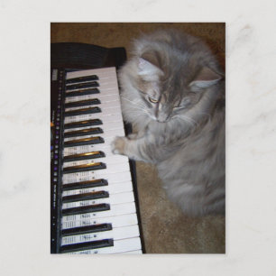 Play that music Raisin Postcard